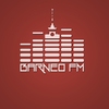 Радио Barneo FM