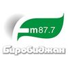 Радио FM Биробиджан