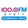 Буковинська Хвиля