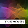 Big Room House