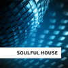 Soulful Housev