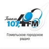 Гомельское