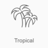 Радио Record Tropical