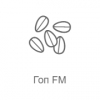 Радио Record Гоп FM