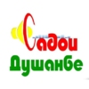 Радио Садои