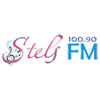 Радио Stels FM