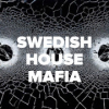 DFM Swedish House Mafia
