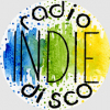 Radio The Disco Paradise - Indie Disco