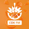 Радио Сок FM
