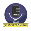 Радио Смородина