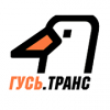 Радио ГУСЬ.Транс